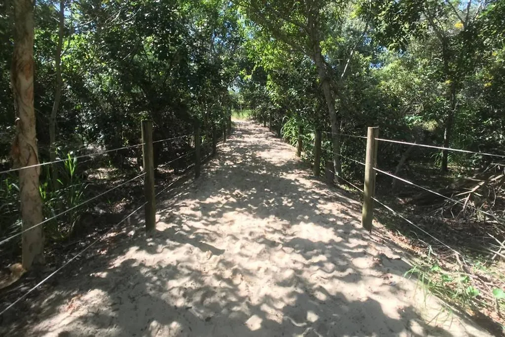 Daire Serene 3Br Beachfront Retreat, Relax & Reconnect Marcoola
